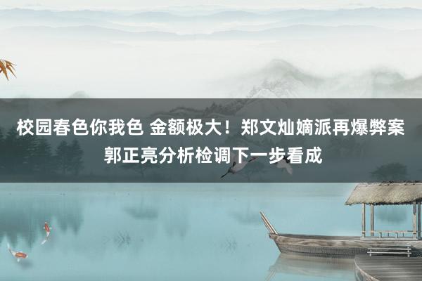 校园春色你我色 金额极大！郑文灿嫡派再爆弊案 郭正亮分析检调下一步看成