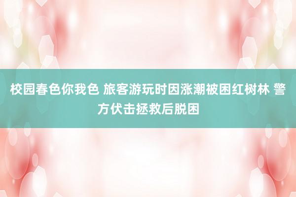 校园春色你我色 旅客游玩时因涨潮被困红树林 警方伏击拯救后脱困
