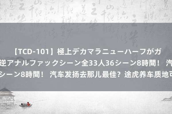 【TCD-101】極上デカマラニューハーフがガン掘り前立腺直撃快感逆アナルファックシーン全33人36シーン8時間！ 汽车发扬去那儿最佳？途虎养车质地可靠吗？