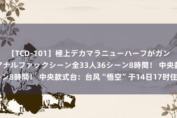 【TCD-101】極上デカマラニューハーフがガン掘り前立腺直撃快感逆アナルファックシーン全33人36シーン8時間！ 中央款式台：台风“悟空”于14日17时住手编号
