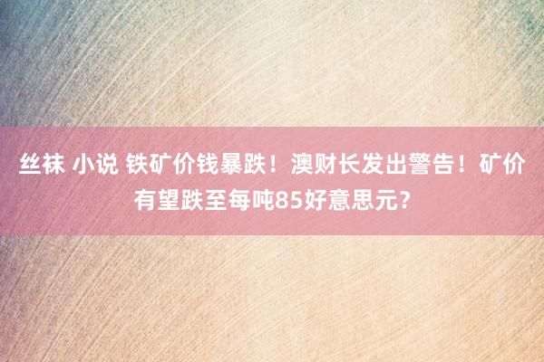 丝袜 小说 铁矿价钱暴跌！澳财长发出警告！矿价有望跌至每吨85好意思元？
