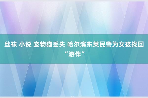 丝袜 小说 宠物猫丢失 哈尔滨东莱民警为女孩找回“游伴”