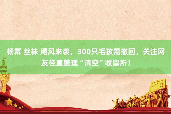 杨幂 丝袜 飓风来袭，300只毛孩需撤回，关注网友径直赞理“清空”收留所！