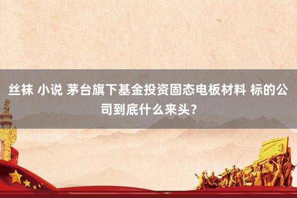 丝袜 小说 茅台旗下基金投资固态电板材料 标的公司到底什么来头？