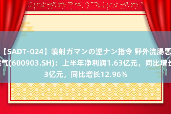 【SADT-024】噴射ガマンの逆ナン指令 野外浣腸悪戯 贵州燃气(600903.SH)：上半年净利润1.63亿元，同比增长12.96%