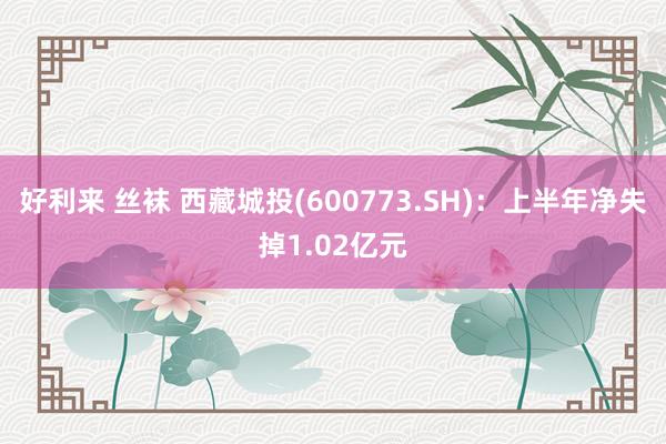 好利来 丝袜 西藏城投(600773.SH)：上半年净失掉1.02亿元