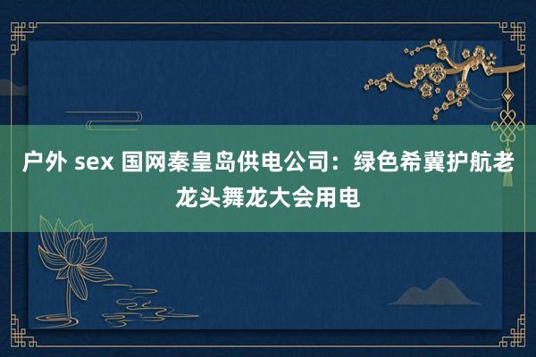 户外 sex 国网秦皇岛供电公司：绿色希冀护航老龙头舞龙大会用电
