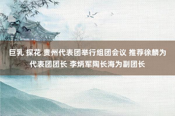 巨乳 探花 贵州代表团举行组团会议 推荐徐麟为代表团团长 李炳军陶长海为副团长
