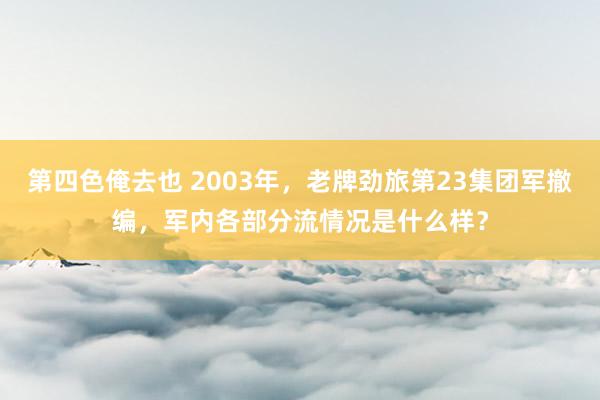 第四色俺去也 2003年，老牌劲旅第23集团军撤编，军内各部分流情况是什么样？