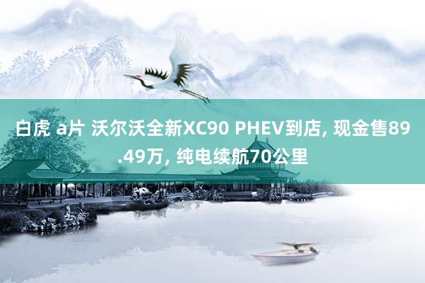 白虎 a片 沃尔沃全新XC90 PHEV到店, 现金售89.49万, 纯电续航70公里