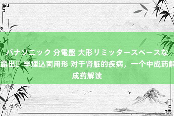 パナソニック 分電盤 大形リミッタースペースなし 露出・半埋込両用形 对于肾脏的疾病，一个中成药解读