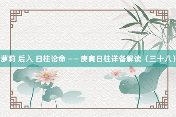 萝莉 后入 日柱论命 —— 庚寅日柱详备解读（三十八）